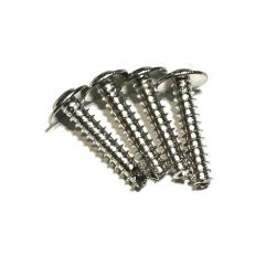 M2.5x11.5mm Self Tapping Philip Screw 4pcs