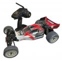 Criterion 2WD Off-Road Buggy Used