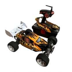 BSD 4WD Nitro Buggy Used