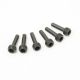FTX Stinger Step Screws M4 X 10